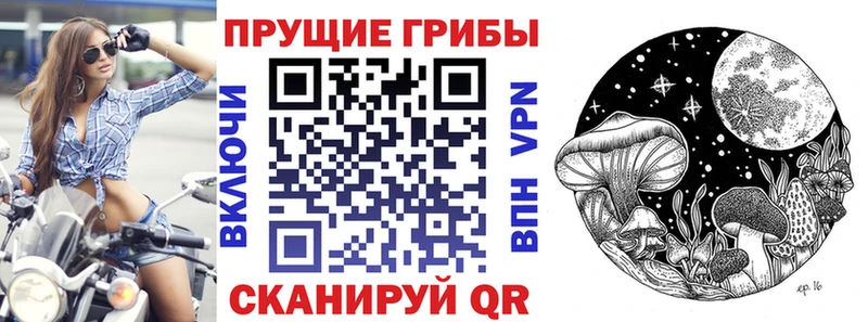 Галлюциногенные грибы Psilocybine cubensis  Купить  Мезень 