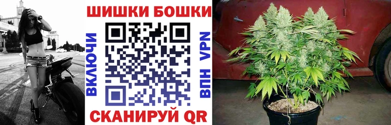 МАРИХУАНА сатива  Купить где  Мезень 